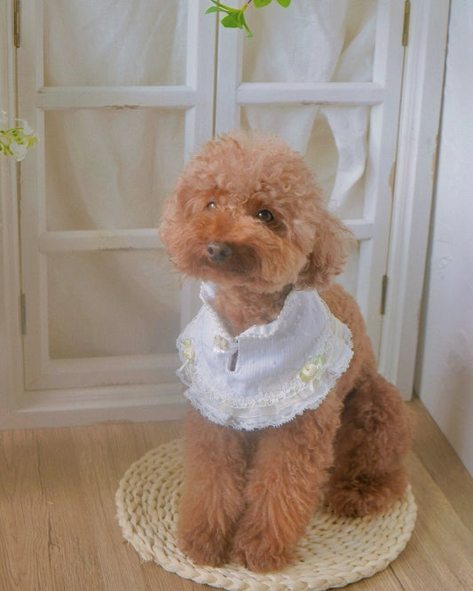Elina Vintage Pearl Pet Collar
