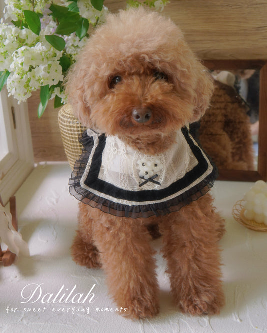 Dalilah Lace Collar for Pet