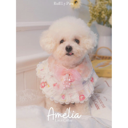 Amelia Collar and Matching Hat