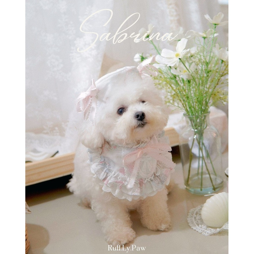 Sabrina Pet Collar and Matching Beret
