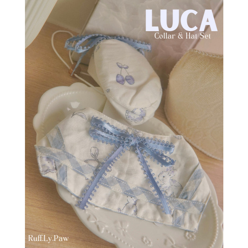 Luca Pet Collar & Hat Set