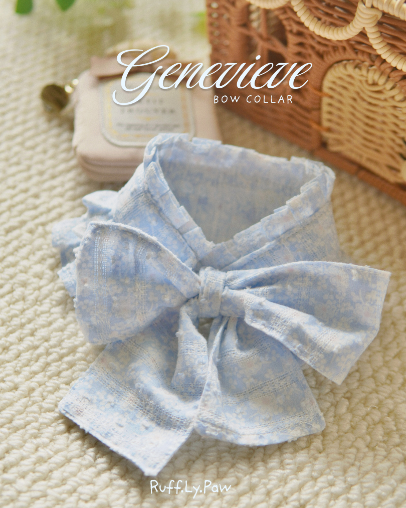 Genevieve Bow Collar
