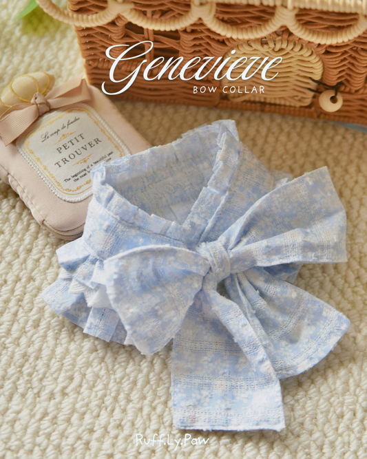 Genevieve Bow Collar