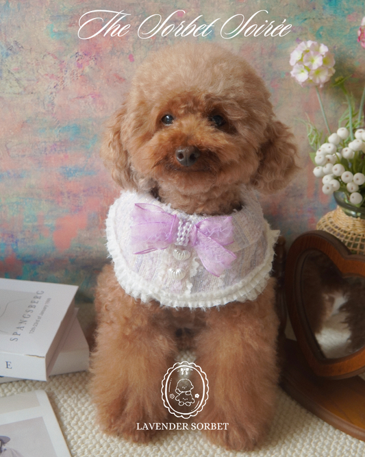 The Sorbet Soirée  Sweet Tweed Pet Cape