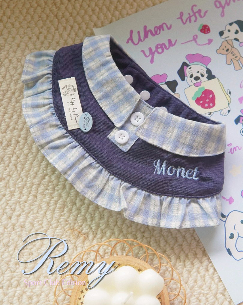Remy - Sport Club Edition Collar for Pet