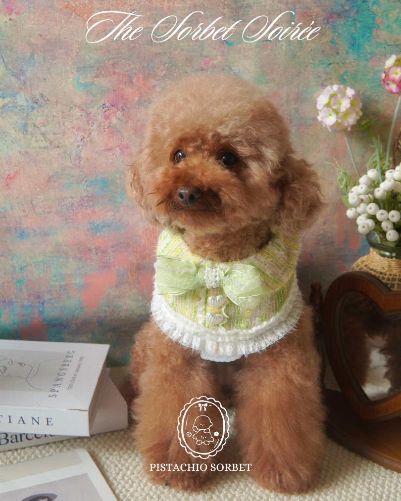 The Sorbet Soirée  Sweet Tweed Pet Cape
