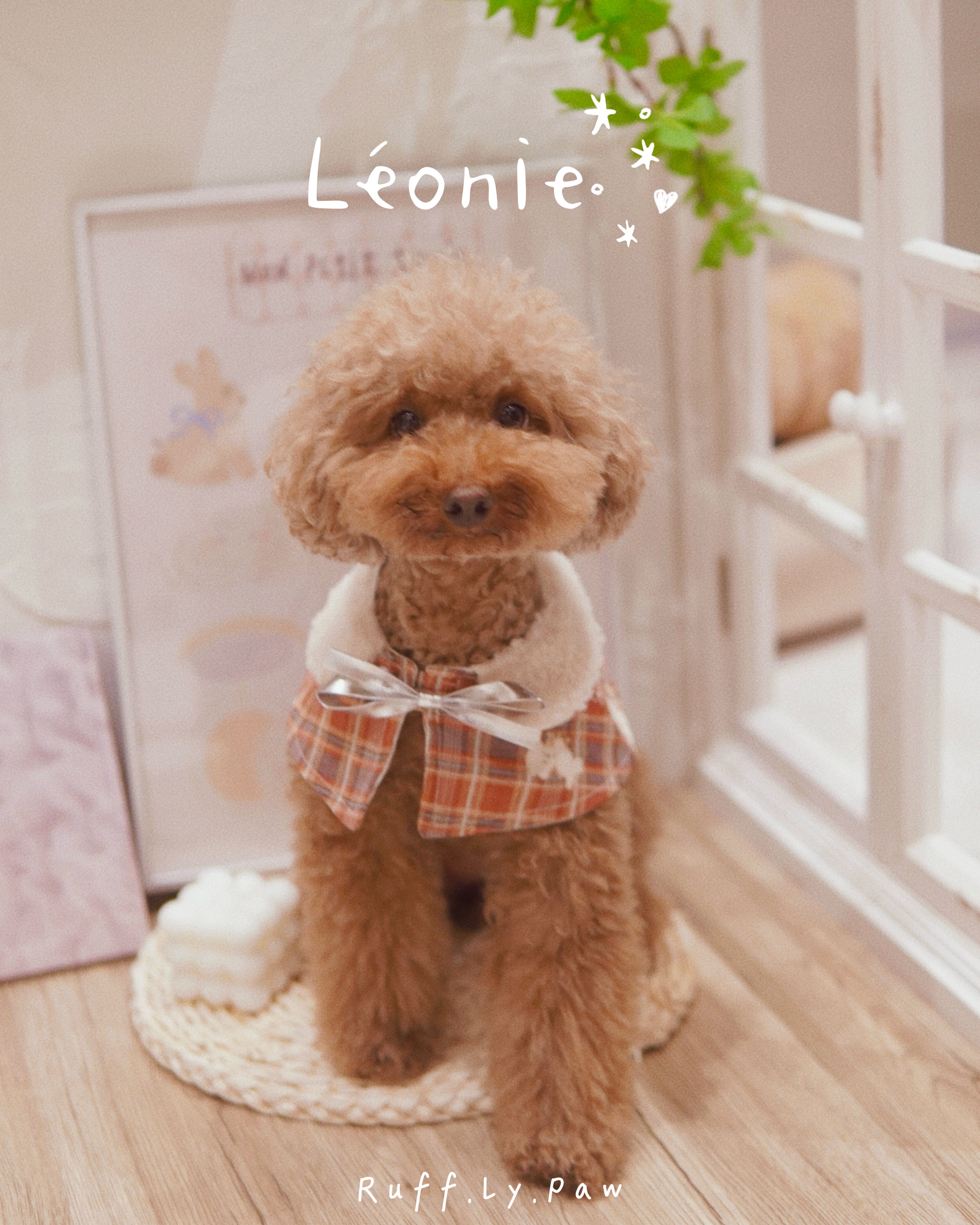 Léonie - White Pup Plaid with Fluffy Collar Pet Collar