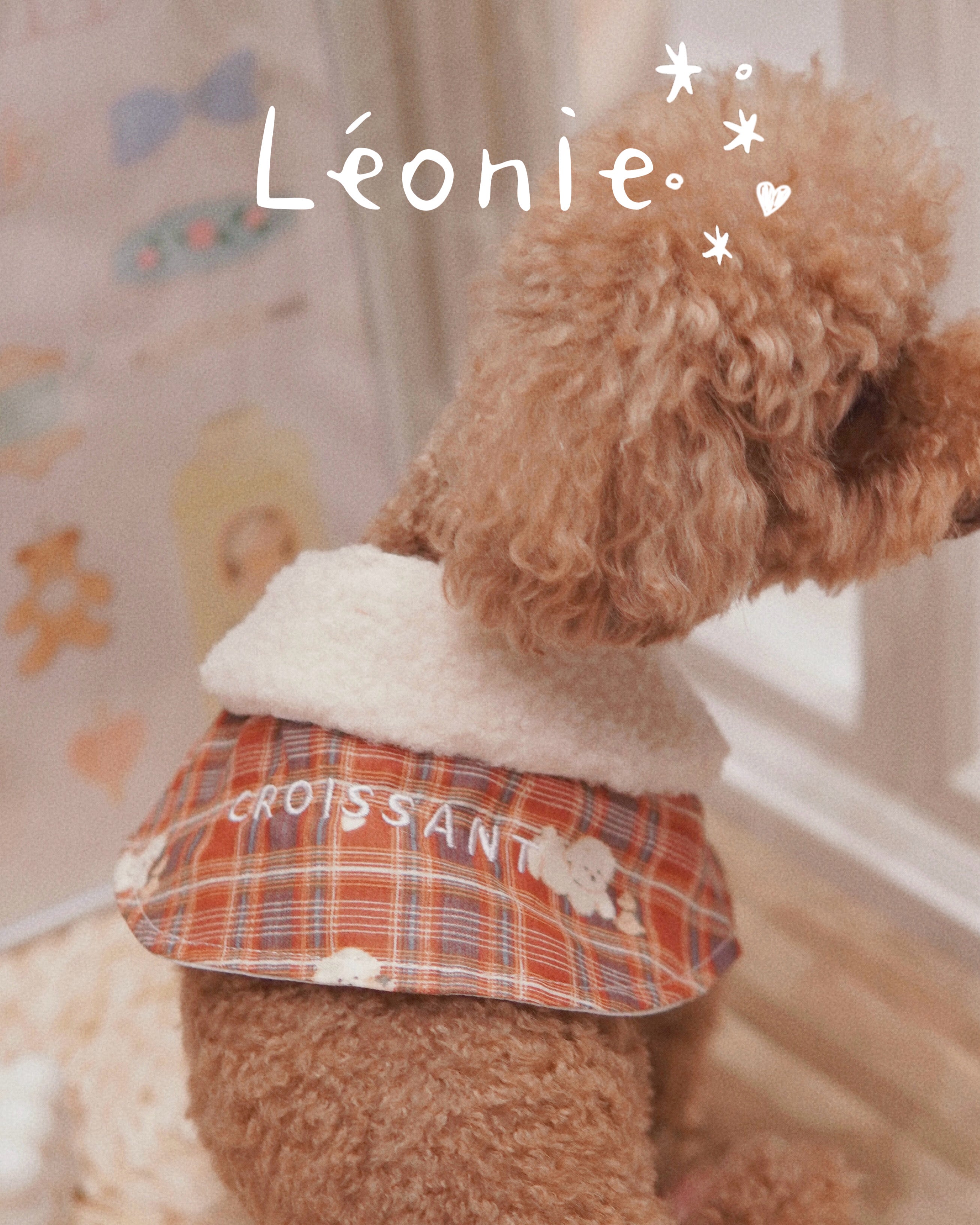 Léonie - White Pup Plaid with Fluffy Collar Pet Collar