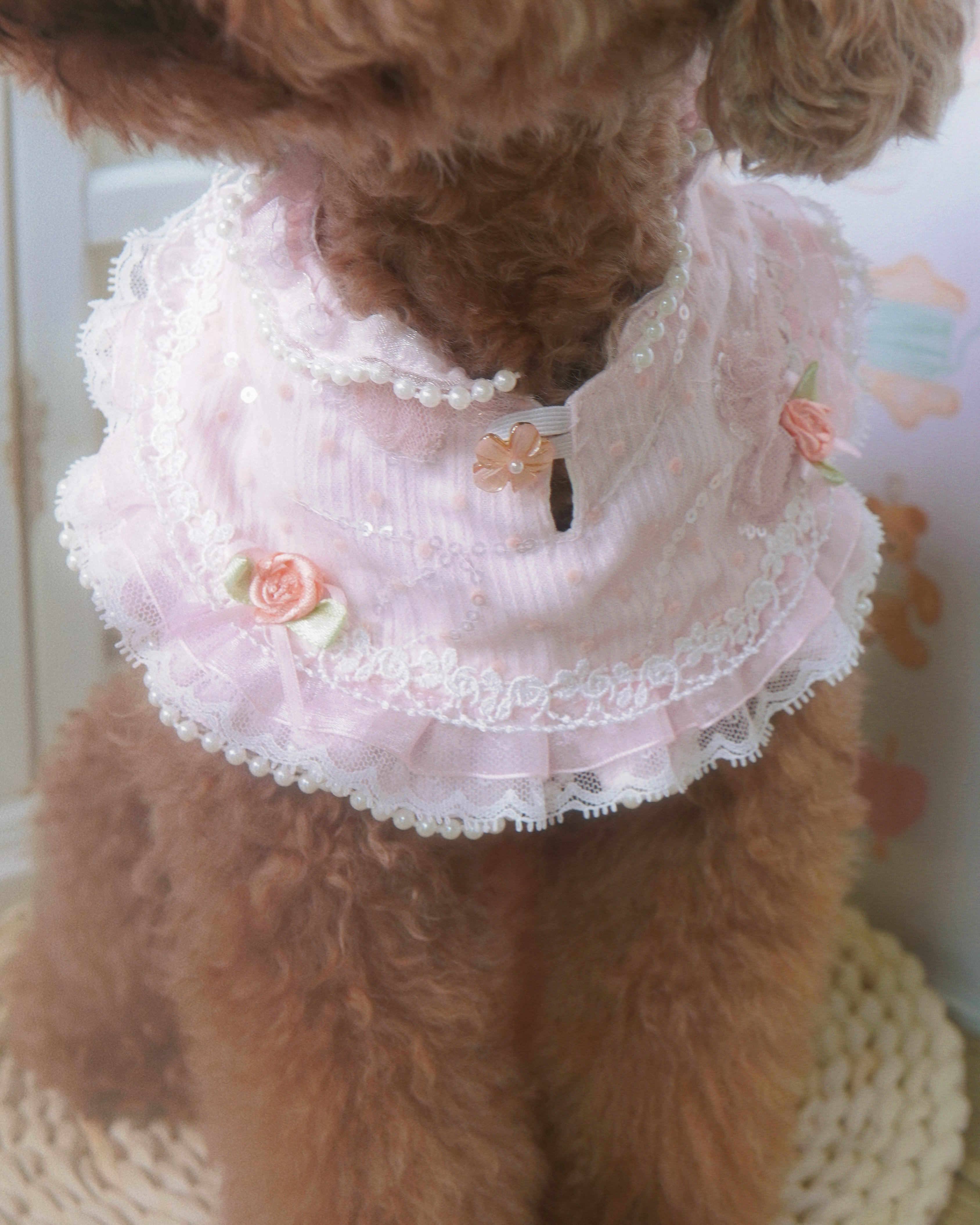 Elina Vintage Pearl Pet Collar