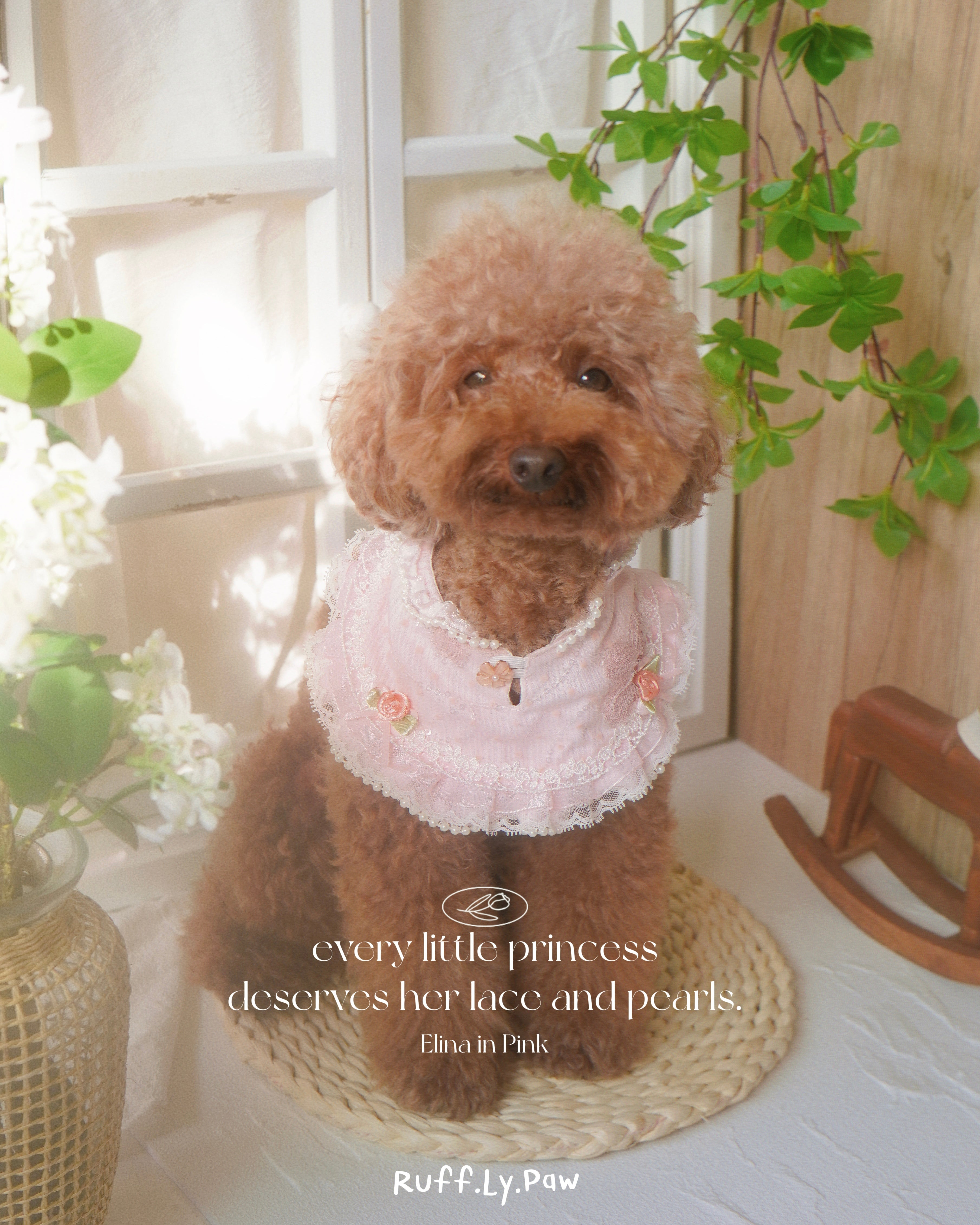 Elina Vintage Pearl Pet Collar