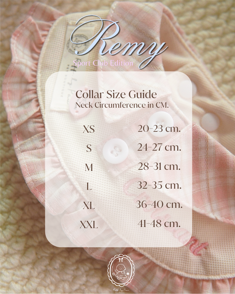 Remy - Sport Club Edition Collar for Pet