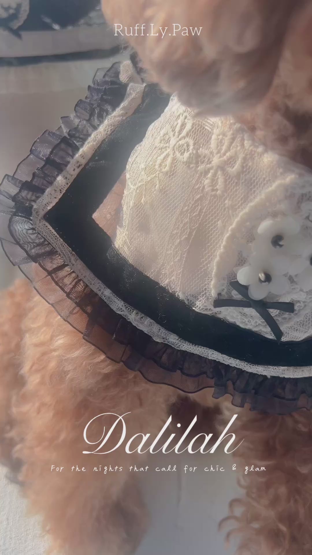 Dalilah Lace Collar for Pet