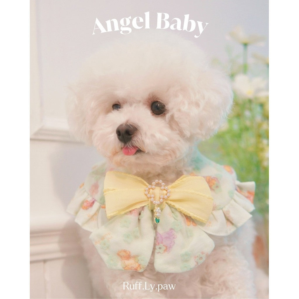 Angel Baby Pet Collar with Matching Beret