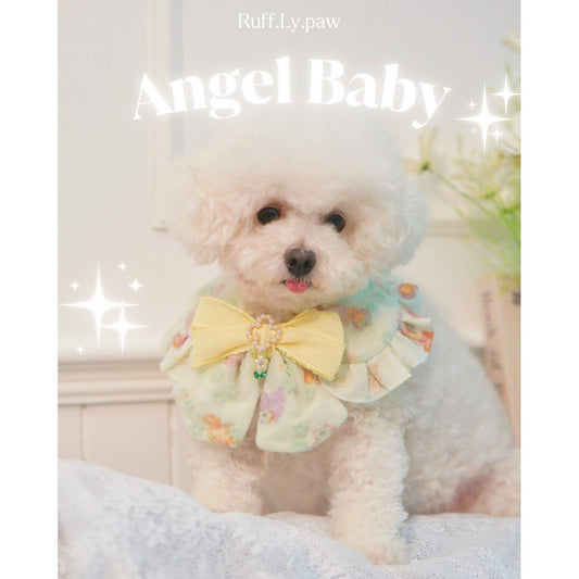 Angel Baby Pet Collar with Matching Beret