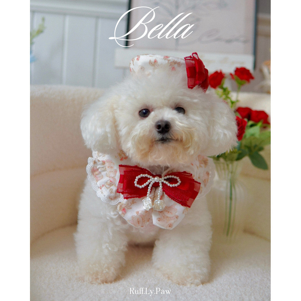 Bella Rosie Pet Collar and Matching Beret