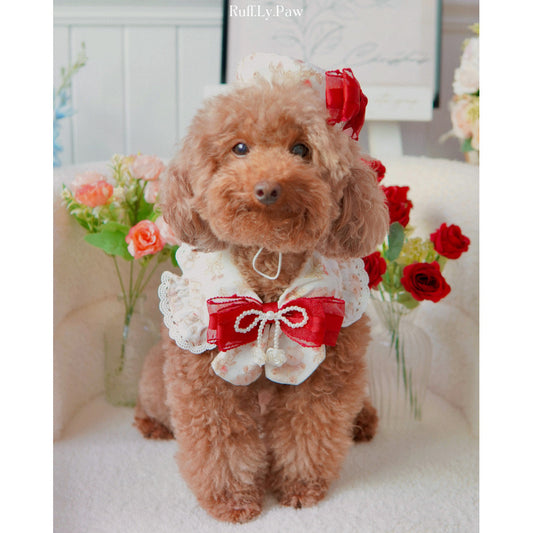 Bella Rosie Pet Collar and Matching Beret