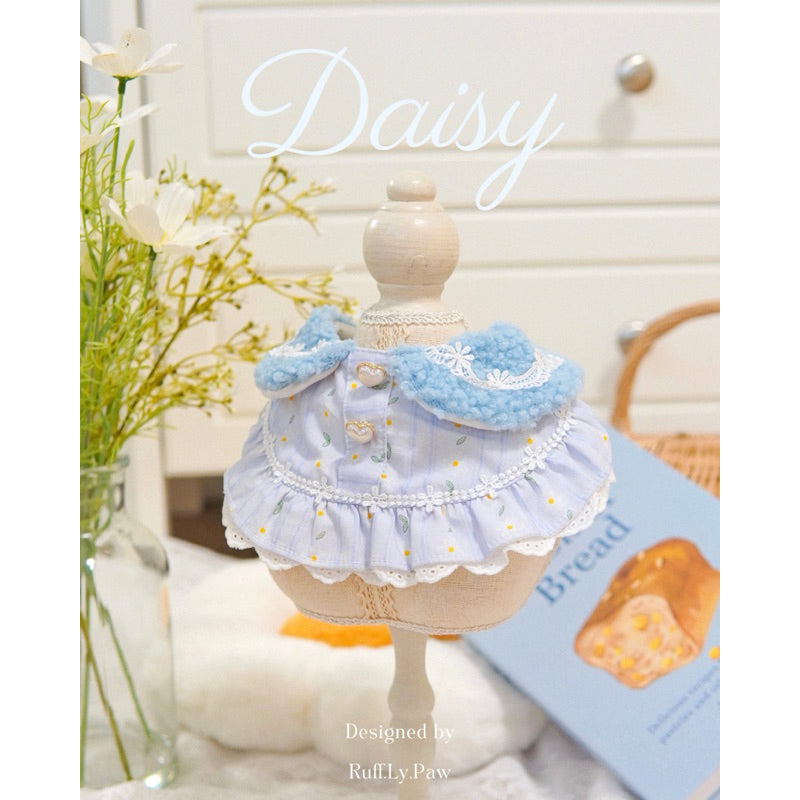 Daisy - New Fluffy Collar by Ruff.Ly.Paw คอลล่าสีฟ้าปกนุ่มนิ่มพร้อมหมวกปลายแหลม