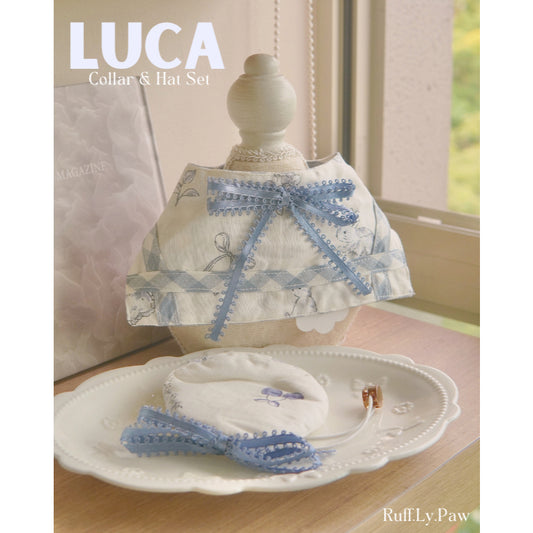 Luca Pet Collar & Hat Set