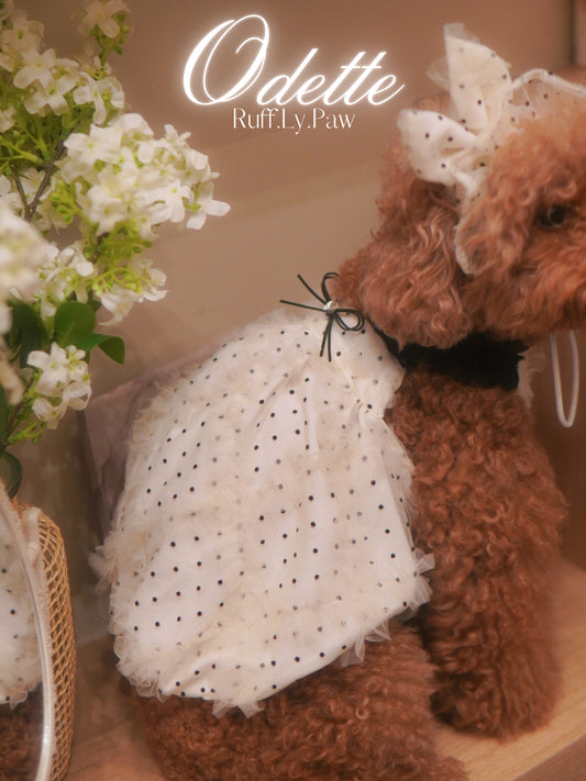 Odette – Dreamy Lace & Polka Dots Dress and Hat for Pet