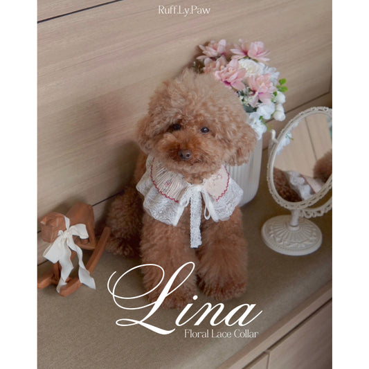 Lina Floral Lace Collar