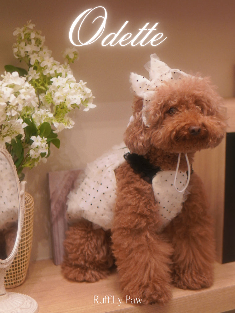 Odette – Dreamy Lace & Polka Dots Dress and Hat for Pet